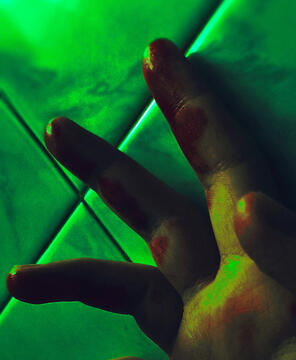Dolor magna